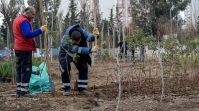 İzmir Büyükşehir Belediyesi, atıl alanları mikroforest yöntemiyle kendi kendine yeten