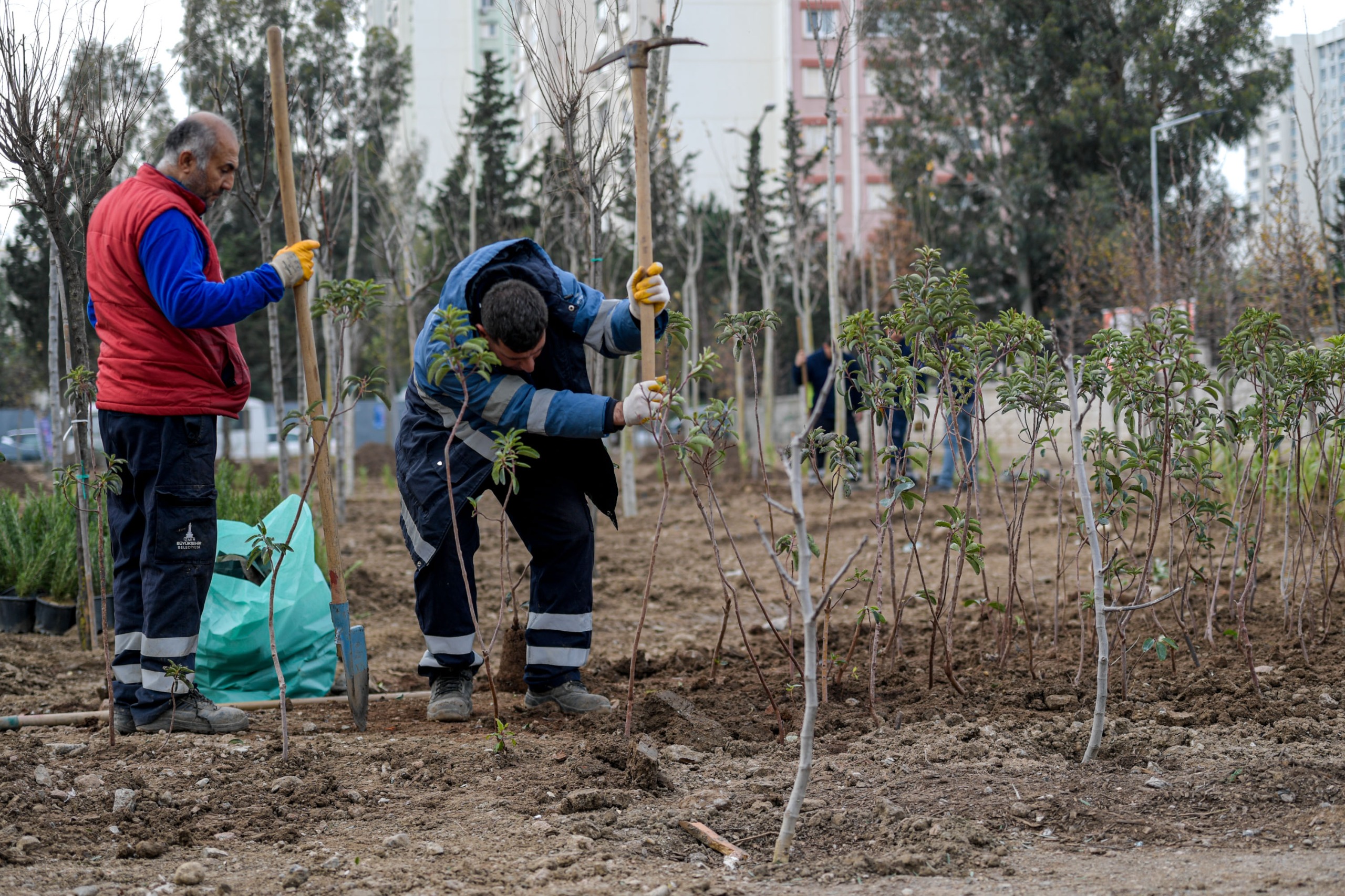 İzmir Büyükşehir Belediyesi, atıl alanları mikroforest yöntemiyle kendi kendine yeten