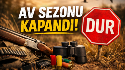 Av sezonu Türkiye genelinde kapandı! 1 Mart itibarıyla avcılık yasaklandı.