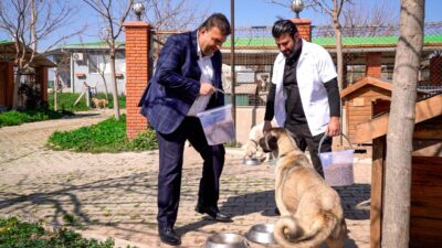 Seferihisar mama üretim tesisi açıldı! Başkan İsmail Yetişkin, çöpe giden