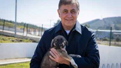 Başkan Cemil Tugay'dan İzmirlilere çağrı: Pako Bakımevi'nde bir köpeği yarım