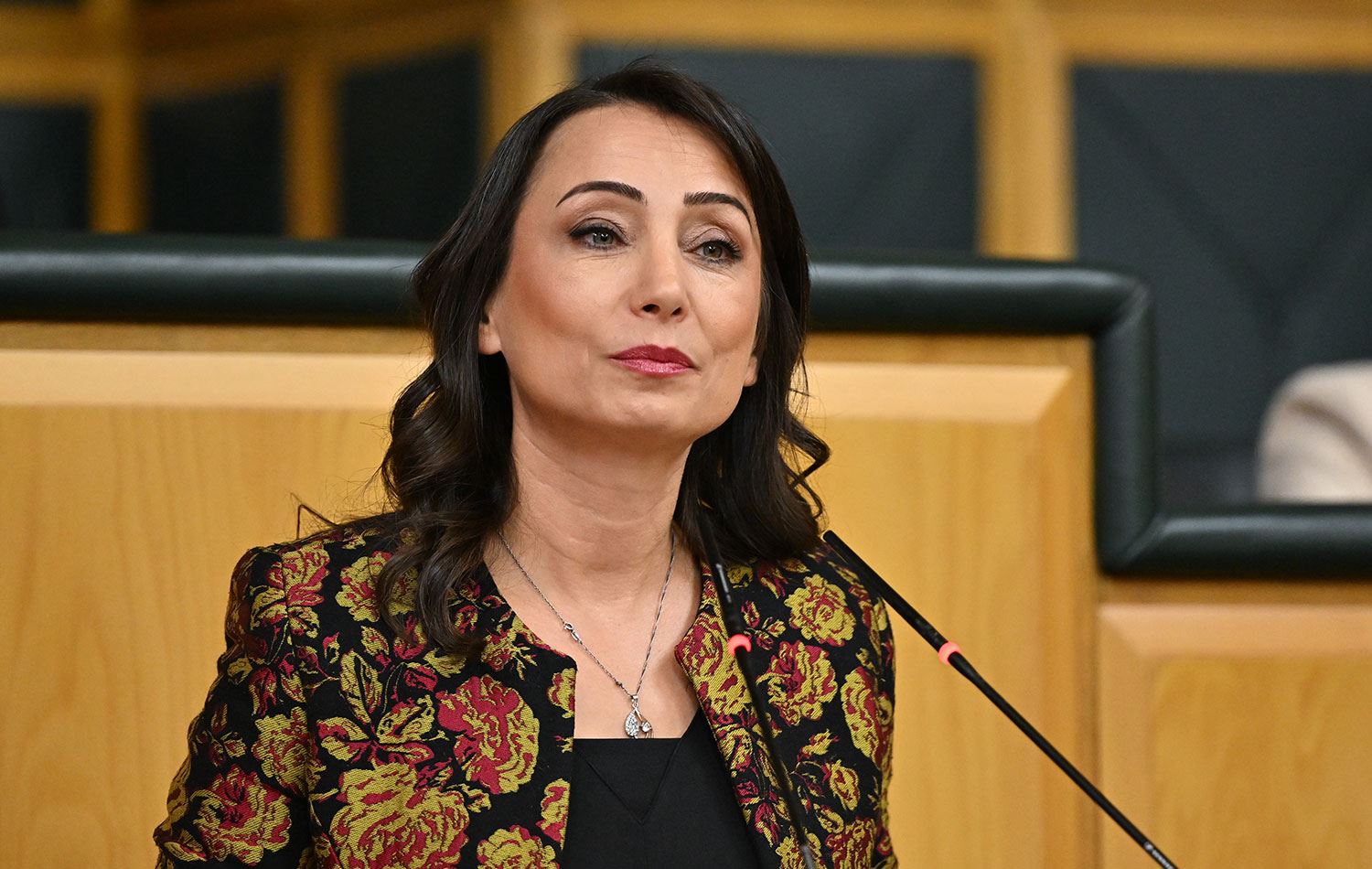 Hatimoğulları, Bahçeli'nin çağrısı ve İmralı'daki konut iddialarına dair müzakere statüsü