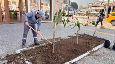 Foça Belediyesi ilçe genelinde başlattığı estetik çalışmalarıyla kentin çehresini modern