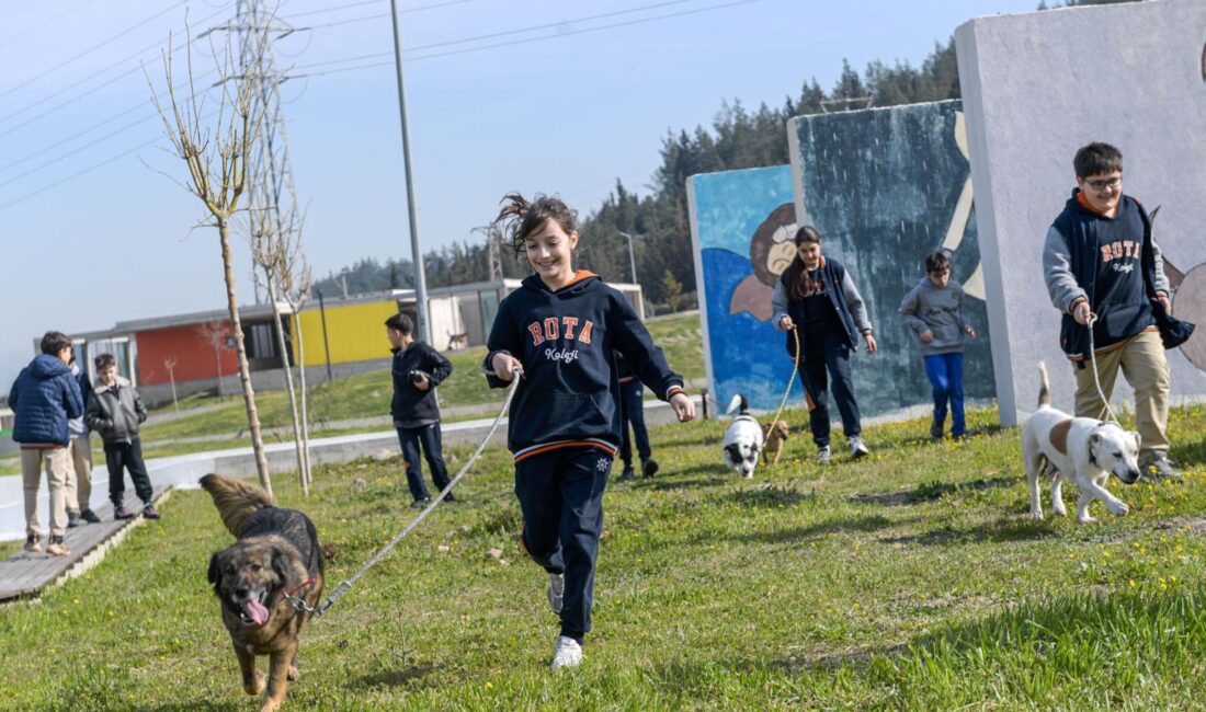 İzmir'deki bakımevlerinde 2 bin 300 can yeni yuvasını bekliyor. Satın