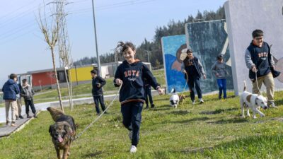 İzmir'deki bakımevlerinde 2 bin 300 can yeni yuvasını bekliyor. Satın