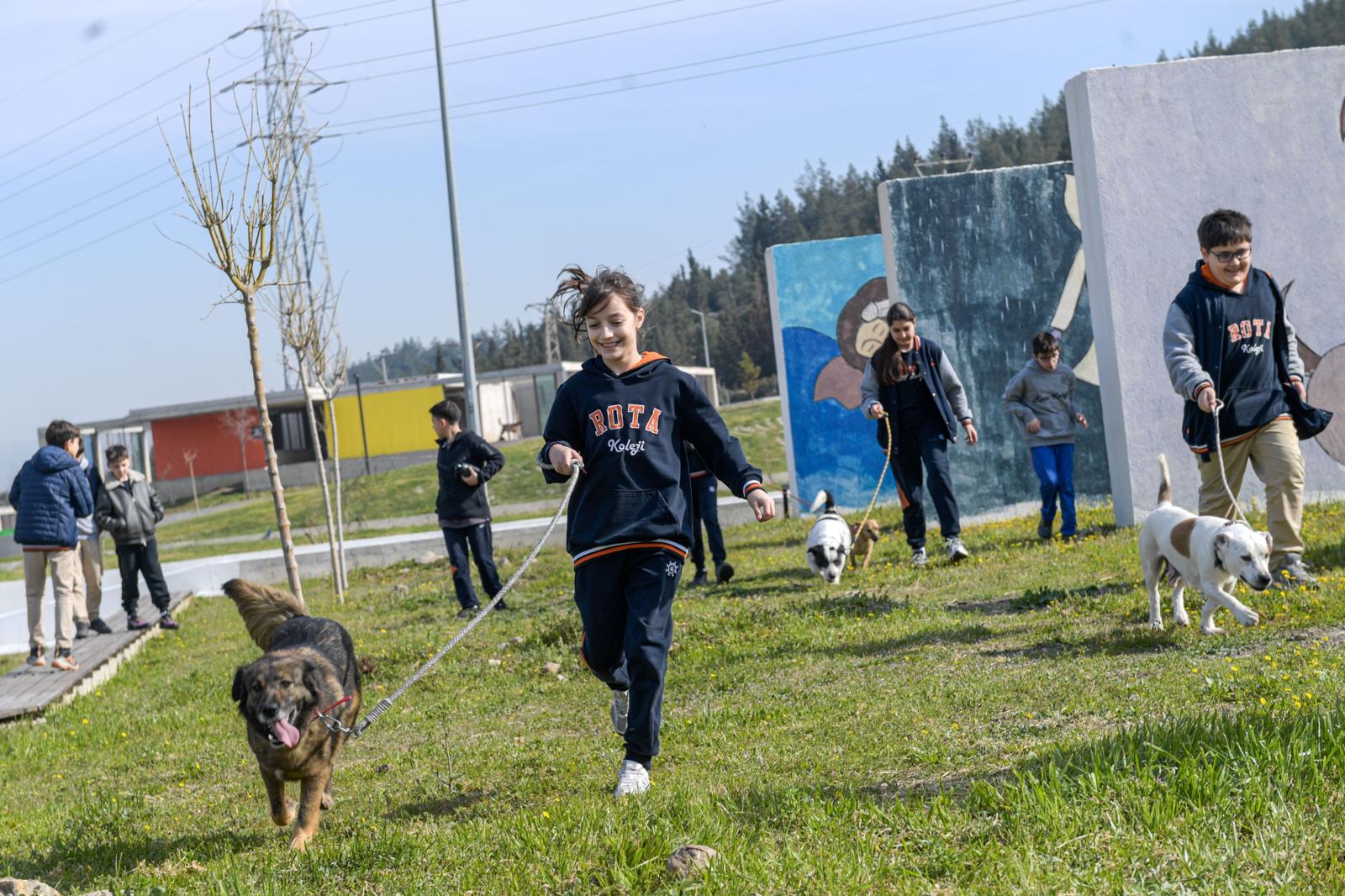 İzmir'deki bakımevlerinde 2 bin 300 can yeni yuvasını bekliyor. Satın