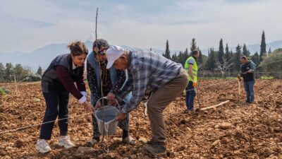 Kemalpaşa'da ağaçları kesilen çiftçiye İzmir Büyükşehir'den 50 ceviz fidanı desteği