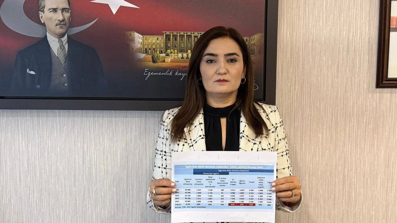 Sevda Erdan Kılıç, TÜİK verilerindeki gizli işsizliği açıkladı: 2,6 milyon