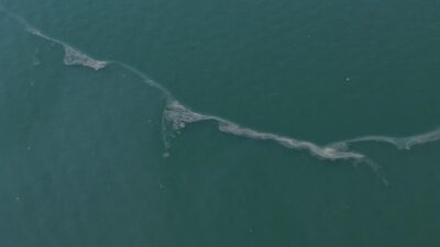 İzmir Körfezi kirliliği 12. kez belgelendi! Karşıyaka'daki ihanet dronla görüntülendi.