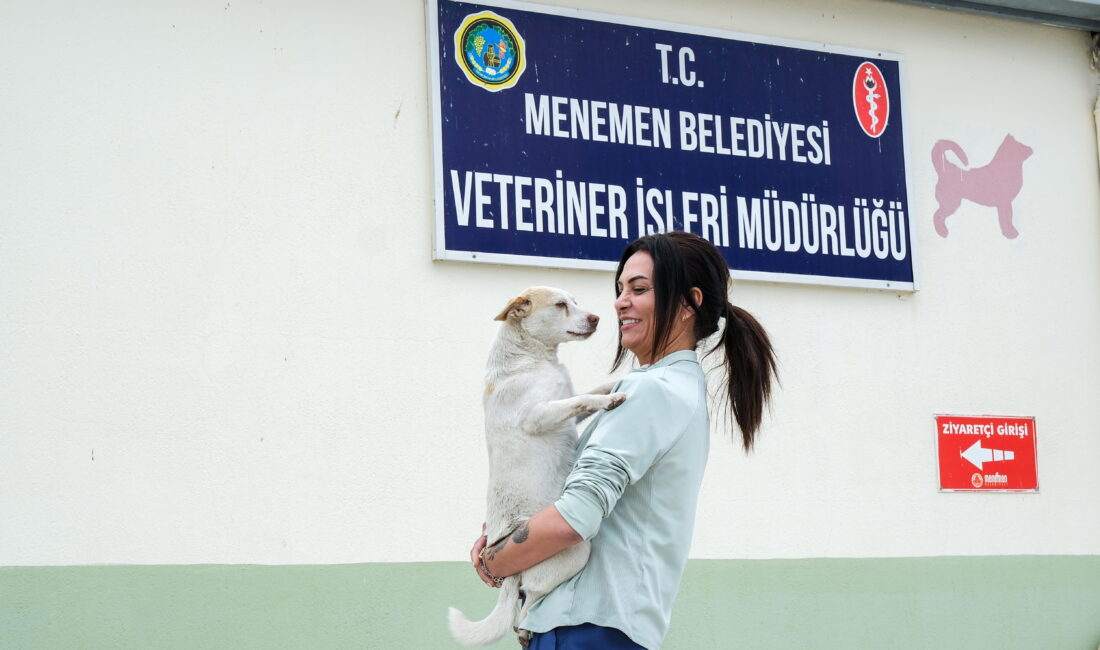 Menemen hayvan barınağı rekora koşuyor! 50 bin can dost tedavi