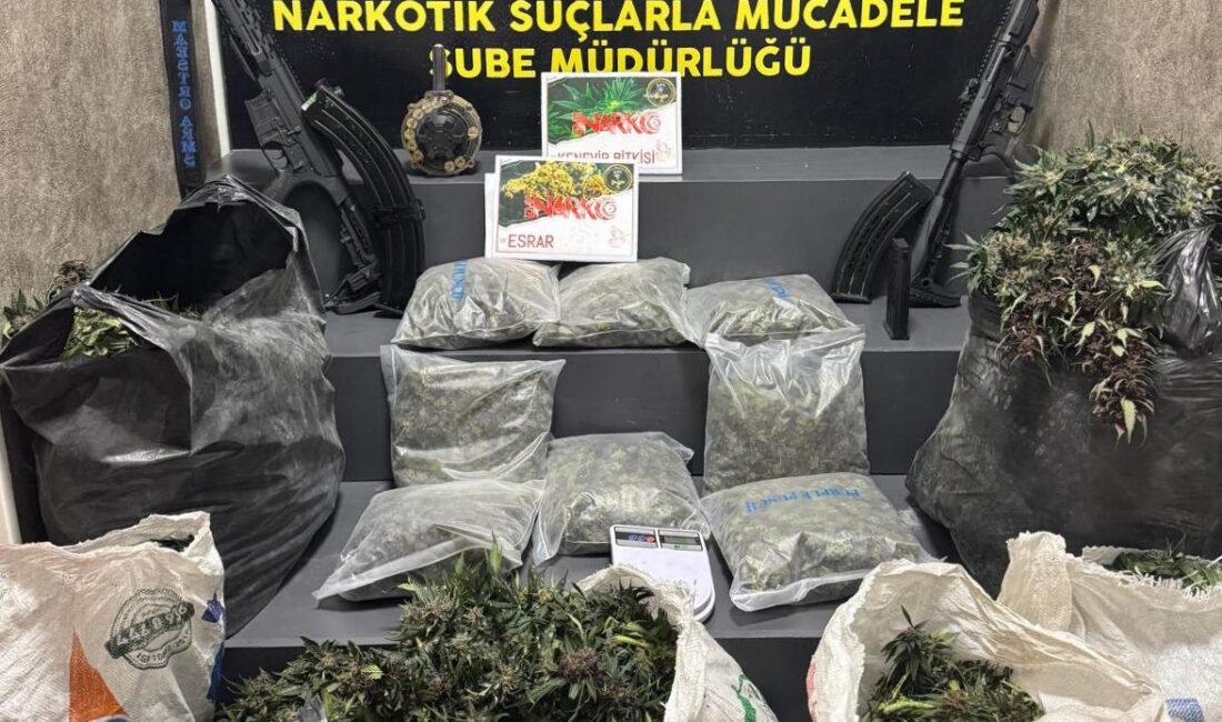 Menemen uyuşturucu operasyonu ile dev imalathane çökertildi! 279 kök kenevir