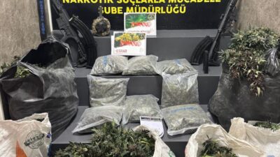 Menemen uyuşturucu operasyonu ile dev imalathane çökertildi! 279 kök kenevir