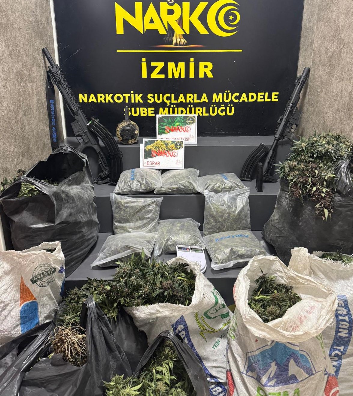 Menemen uyuşturucu operasyonu ile dev imalathane çökertildi! 279 kök kenevir