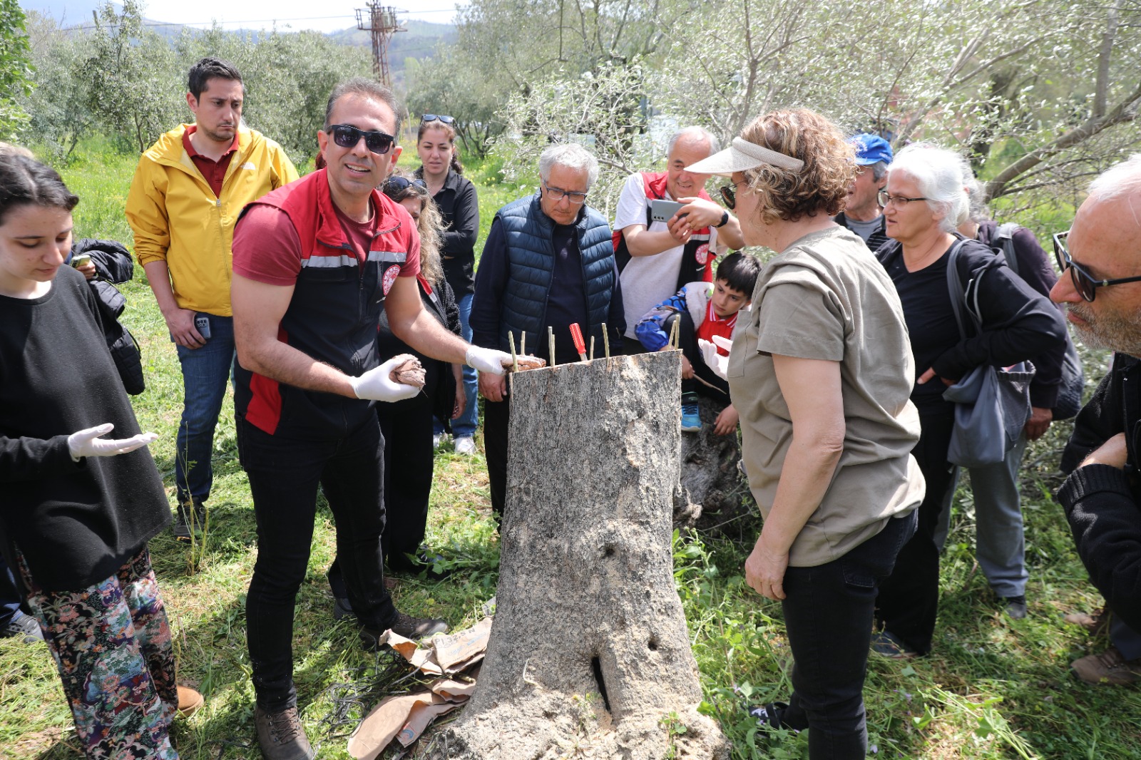 Seferihisar zeytin eğitimiyle verimi ikiye katlıyor! Belediye ve İlçe Tarım'dan