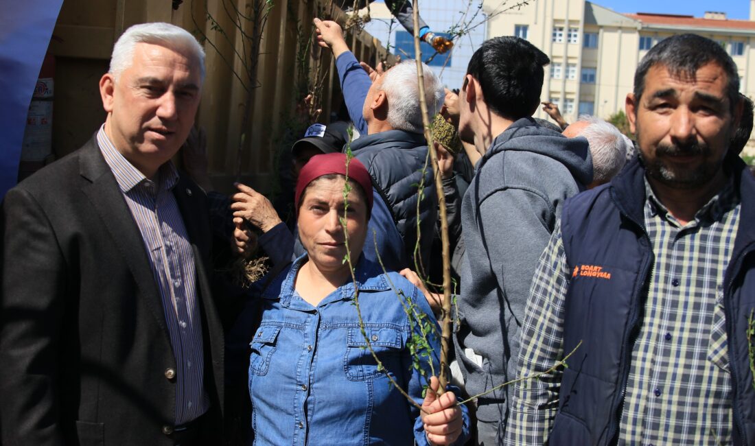 Bergama Tarımsal Kalkınma Atağı: Ahlatlar Aşılandı ve Fidanlar Dağıtıldı Bergama Belediyesi ahlat ağaçlarını aşılayarak ve meyve fidanı dağıtarak yerel