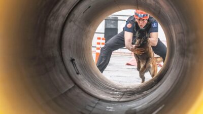 İzmir'de barınaktan sahiplenilen Momo, enkaz altında hayat kurtarmak için K9