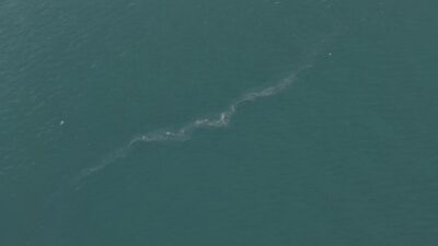 İzmir Körfezi'nde dron ile 13. dış kaynaklı kirlilik tespit edildi;