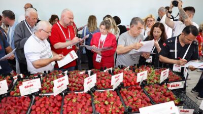 Emiralem Çilek Festivali Menemen'de rekor kırdı! 1 milyondan fazla kişinin