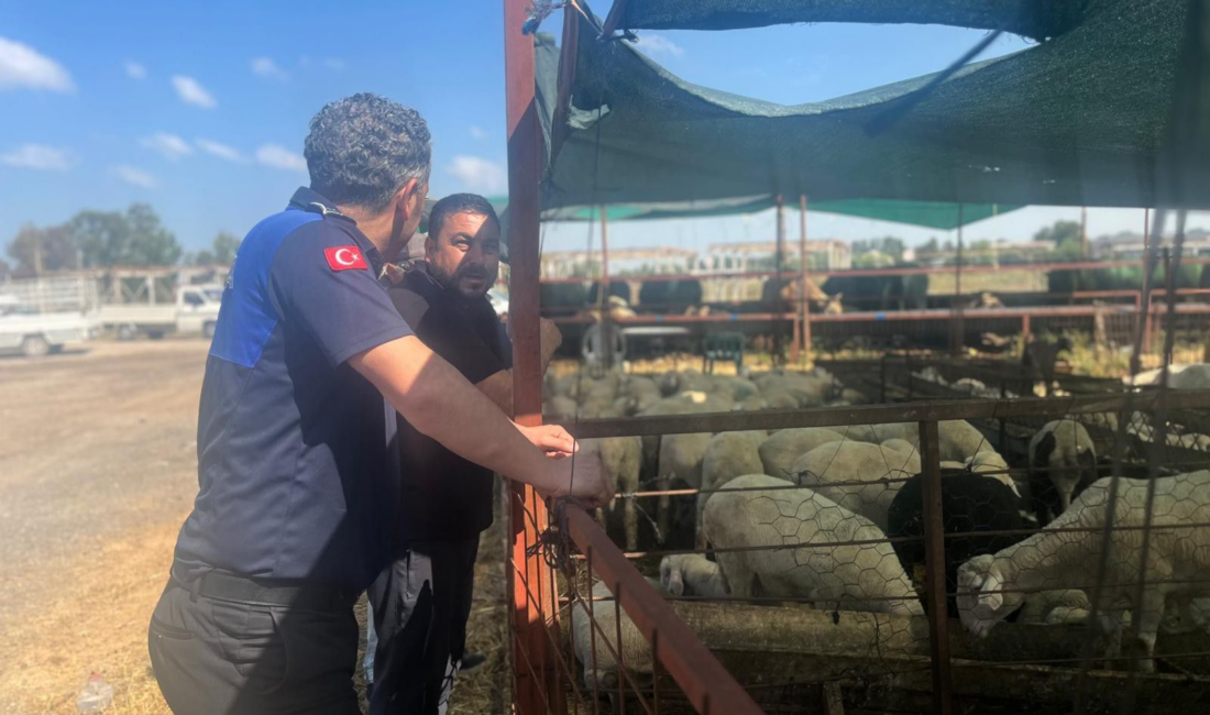 Çiğli Belediyesi, vatandaşların Kurban Bayramı'nı huzurlu ve hijyenik bir ortamda