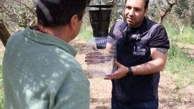 İzmir Büyükşehir Belediyesi, istilacı kahverengi kokarca böceğine karşı feromon tuzağı