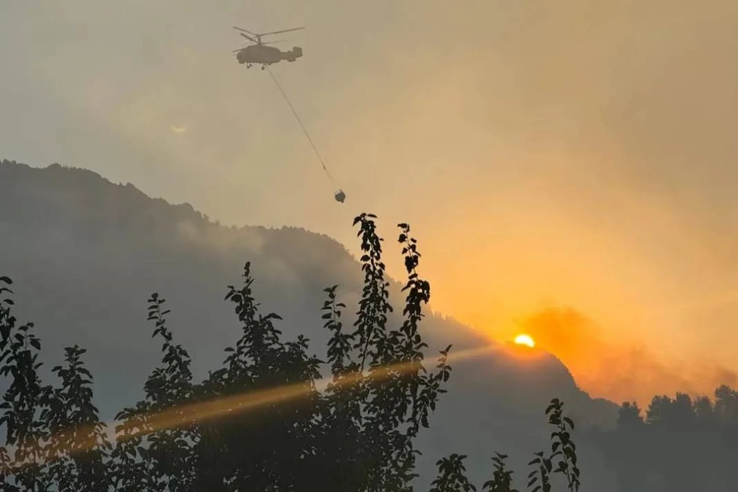 Kahramanmaraş'ta torpille orman yakan sanığa 5 yıl hapis ve 43