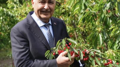 Kemalpaşa Belediyesi tarafından bu yıl 53'üncüsü düzenlenecek olan geleneksel Altın