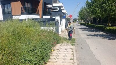 Menderes Belediyesi ilçe genelindeki 44 mahallede kapsamlı ot biçme ve