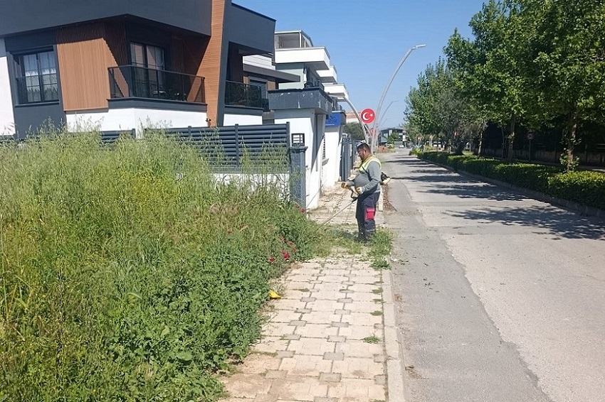 Menderes Belediyesi ilçe genelindeki 44 mahallede kapsamlı ot biçme ve