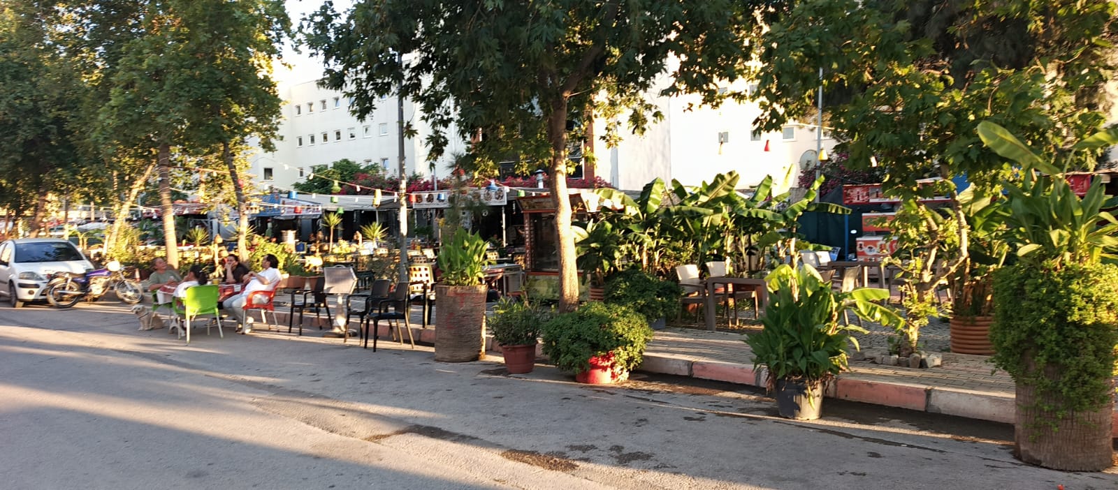 Gümüldür Menderes Belediyesi yüzünden Küçük Hindistan oldu! Kaçak otopark ve