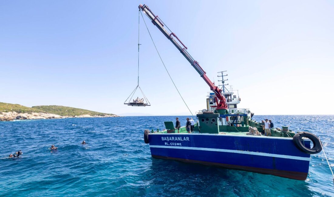 İzmir Yapay Resif Adımıyla Denizin Altında Büyük Değişim! İzmir yapay resif projesiyle atık midye kabukları deniz canlılarına can