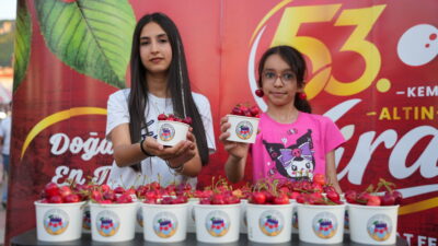 Kemalpaşa Belediyesi tarafından düzenlenen 53. Altın Kiraz Kültür ve Sanat